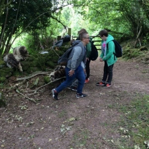 BullaceHill - 37